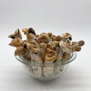 black tar heroin (copy)